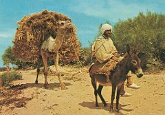 SUD MAROC (4)